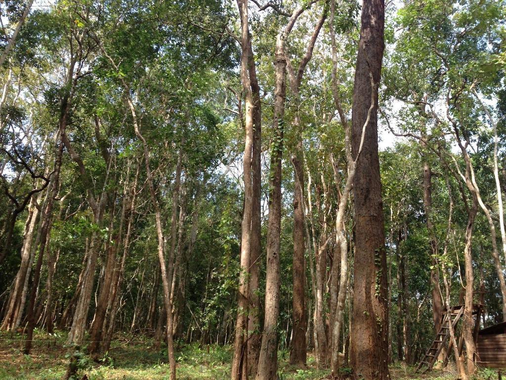 Mondulkiri Hotel Sen Monourom Dış mekan fotoğraf